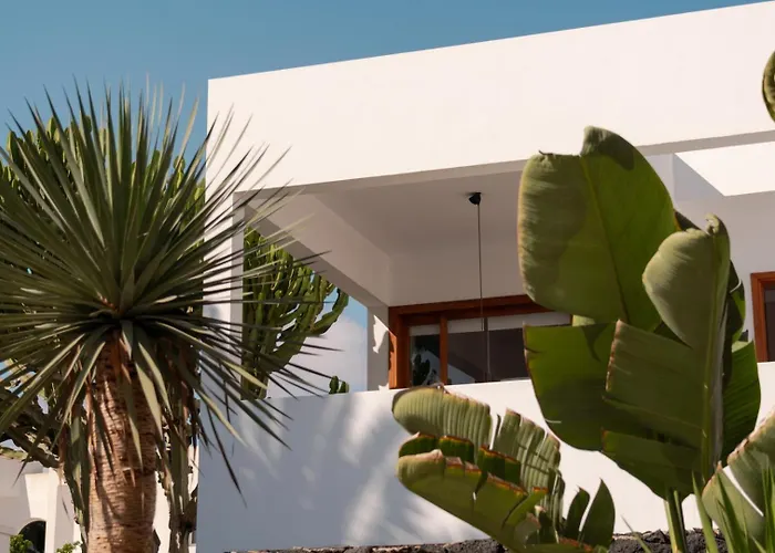 Canaryislandshost L Pausa 科斯塔特吉塞