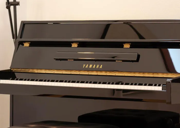 Canaryislandshost L Pausa Villa *